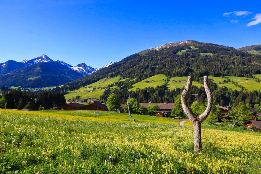 Wiedersberger Horn, Alpbach, Alpbachtal, Alpbach Seenland, Tirol, Tyrol, Austria, Oesterreich, fotoeins.com