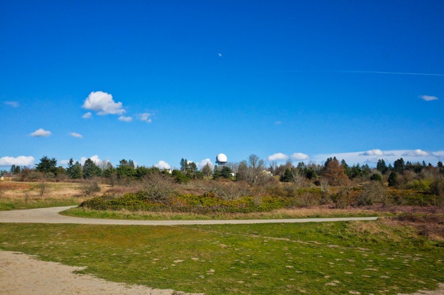 Sandy knoll, Discovery Park, Magnolia, Seattle, WA, USA, fotoeins.com