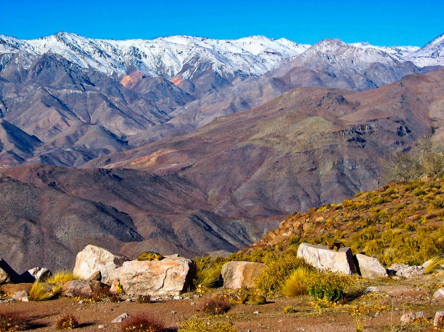 Desert fox, Andean fox, Culpeo zorro, Cerro Tololo Interamerican Observatory, Cerro Tololo, Region de Coquimbo, Chile, fotoeins.com
