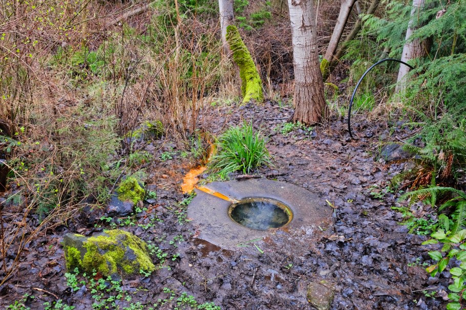 liqted, Licton Springs, Licton Springs Park, Duwamish, iron spring, red paint, iron oxide, red mud, Seattle, WA, USA, fotoeins.com