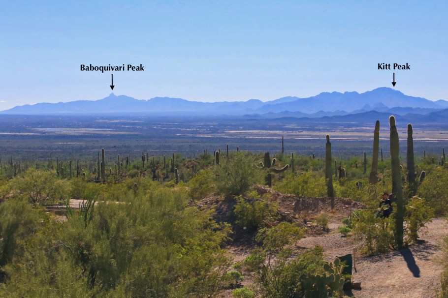 Arizona-Sonora Desert Museum, Tucson, Arizona, USA, fotoeins.com