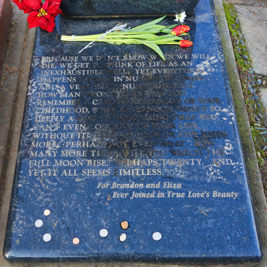 Bruce Lee, Brandon Lee, Lake View Cemetery, fall colours, autumn colours, Capitol Hill, Seattle, Washington, USA, fotoeins.com