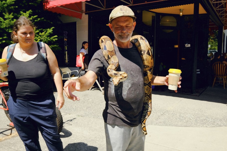 Boa constrictor, Wilder Snail, Strathcona, East Vancouver, Vancouver, BC, Canada, fotoeins.com, Ektachrome 100SW