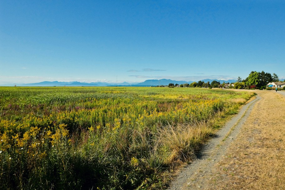 West Dyke Trail, Sturgeon Banks, Sturgeon Bank Wildlife Management Area, Salish Sea, Strait of Georgia, Richmond, BC, Canada, fotoeins.com 