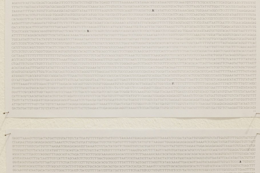 Gegebenenfalls die Wirklichkeit, As the case may be reality, Alicja Kwade, In Abwesenheit, In Absence, Berlinische Galerie, Berlin, Germany, Deutschland, fotoeins.com