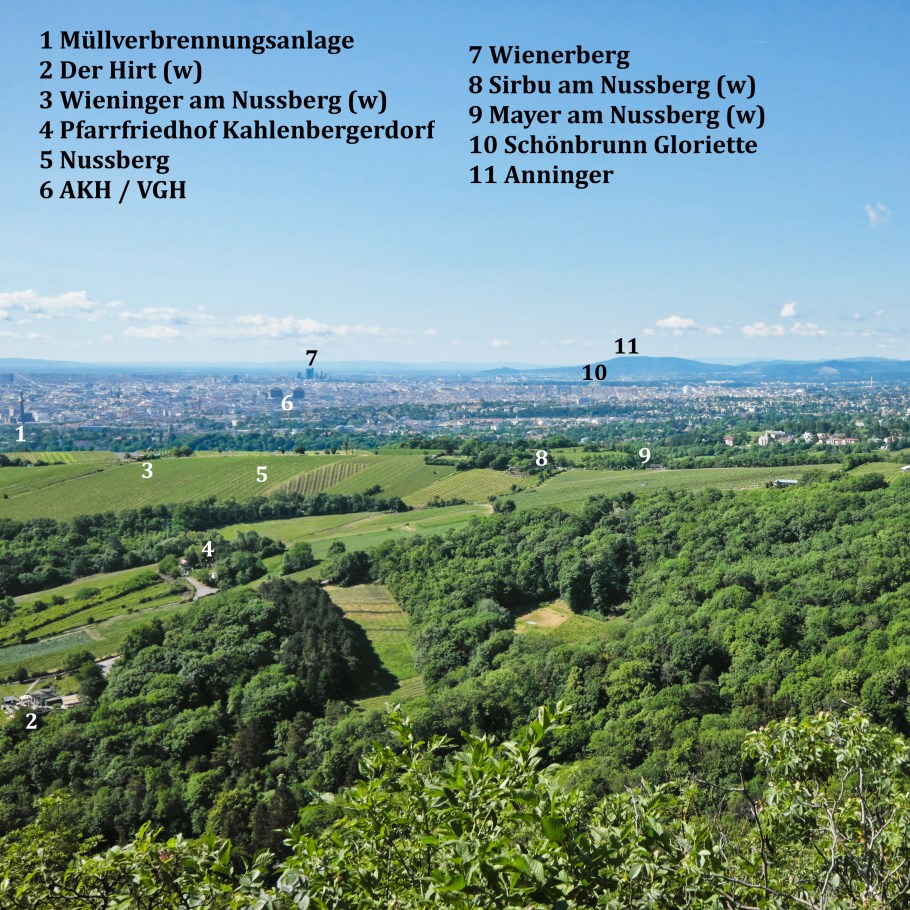 Leopoldsberg, Nussberg, Danube, Donau, 19. Bezirk, Döbling, Wien, Vienna, Austria, Österreich, fotoeins.com
