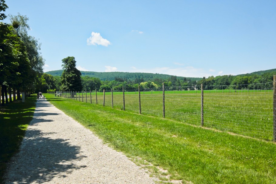 Lainzer Tiergarten, Lainzer Tor, 13. Bezirk, Hietzing, Wien, Vienna, Austria, Österreich, fotoeins.com