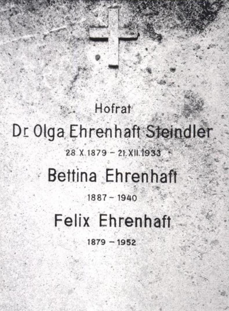 from Der andere Physiker: das Leben von Felix Ehrenhaft, by Joseph Braunbeck, Leykam Buchverlagsgesellschaft, 2003, p. 132