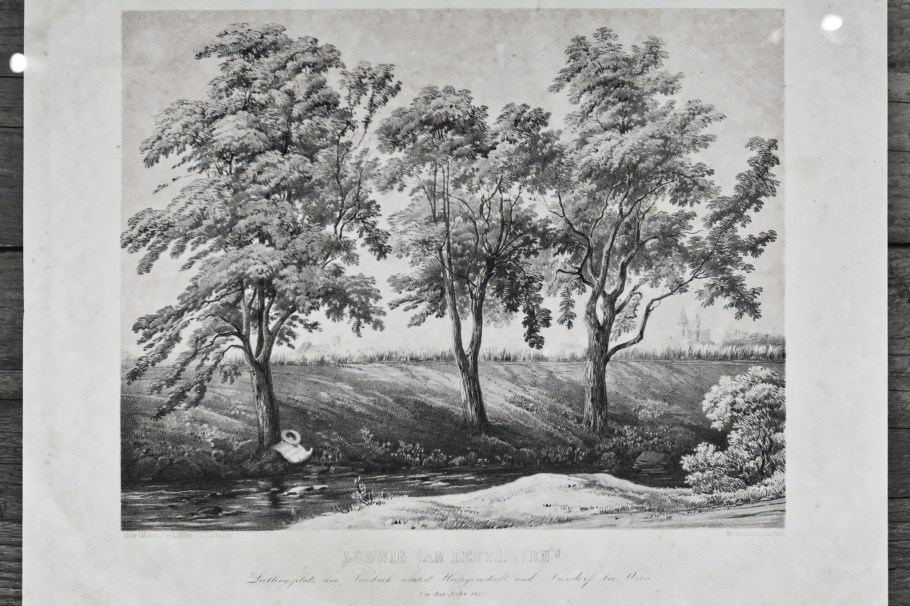 Franz Josef Xaver Sandmann, Beethoven Museum, Probusgasse, Heiligenstadt, 19. Bezirk, Döbling, Wien, Vienna, Austria, Österreich, fotoeins.com