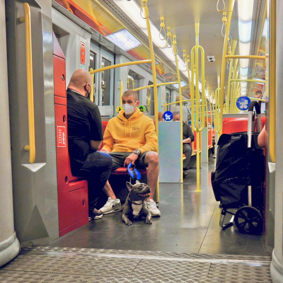 Wiener Linien, U-Bahn, U1, Wien, Vienna, Austria, Österreich, fotoeins.com