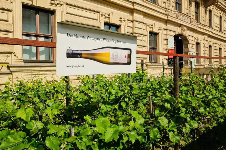 Wiens kleinste Weingarten, Mayer Weingut, Palais Wiener von Welten, Schwarzenbergplatz, 1. Bezirk, Innere Stadt, Wien, Vienna, Austria, Österreich, fotoeins.com