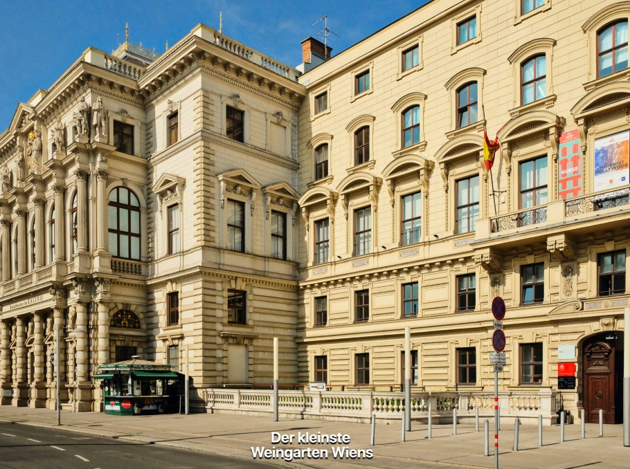 Wiens kleinste Weingarten, Mayer Weingut, Palais Wiener von Welten, Schwarzenbergplatz, 1. Bezirk, Innere Stadt, Wien, Vienna, Austria, Österreich, fotoeins.com