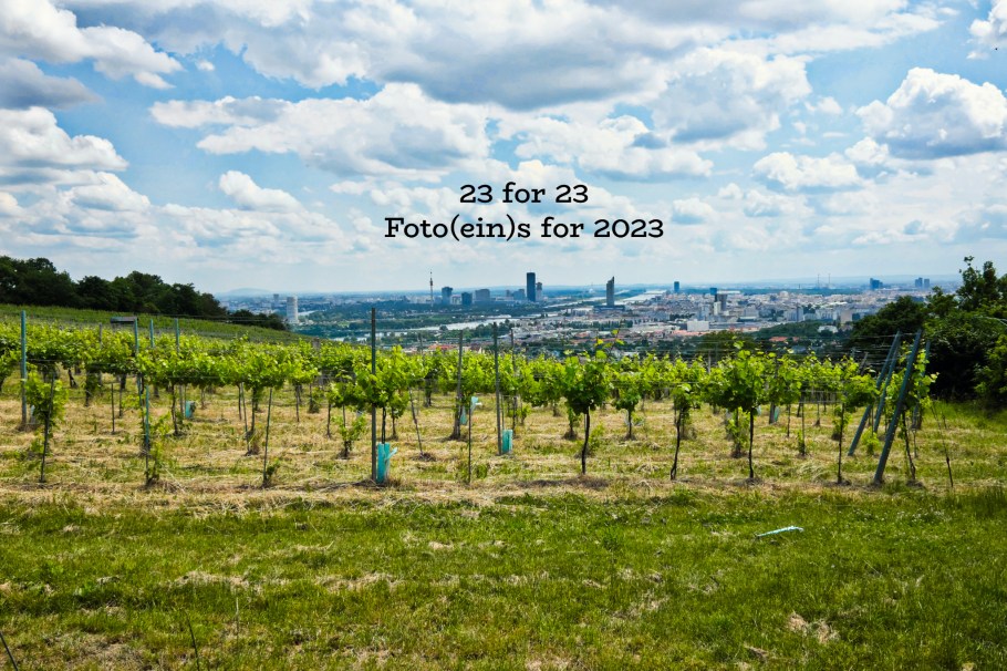 Nussberg, 19. Bezirk, Döbling, Wien, Vienna, Austria, Österreich, fotoeins.com