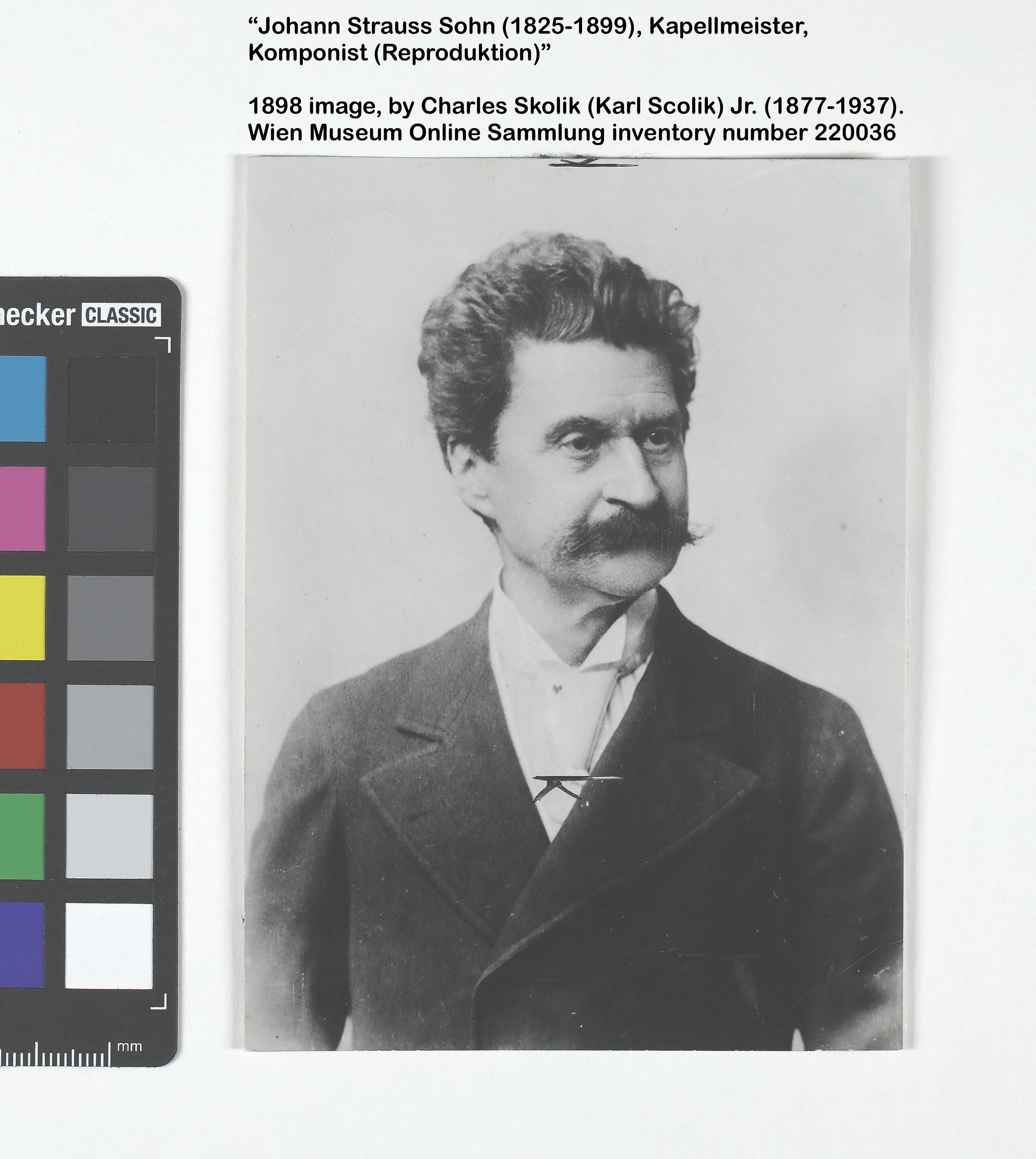 Johann Strauss II. Wien Museum, Inventarnummer HMW 220036