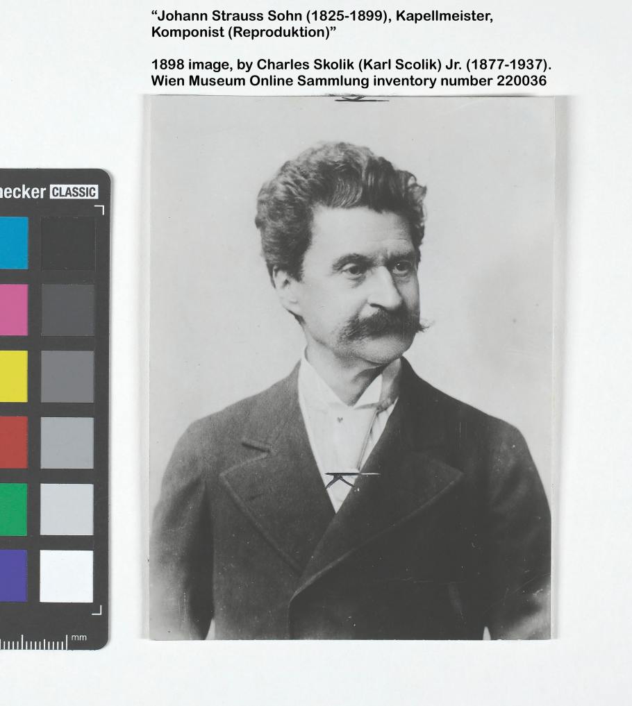 Johann Strauss II. Wien Museum, Inventarnummer HMW 220036