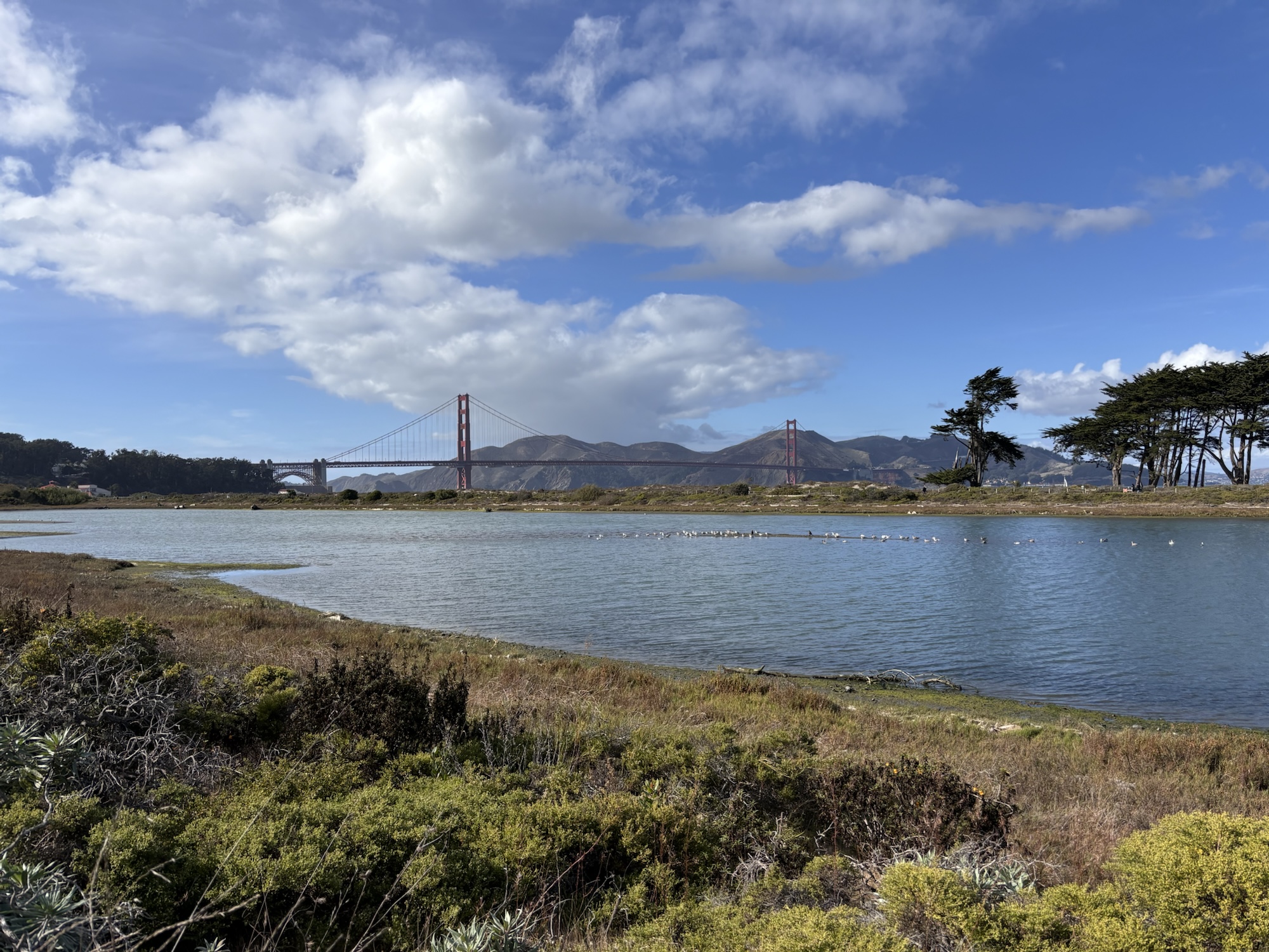 Crissy Field, Crissy Field Marsh, The Presidio, Golden Gate, Golden Gate Bridge, San Francisco, Bay Area, California, USA, fotoeins.com