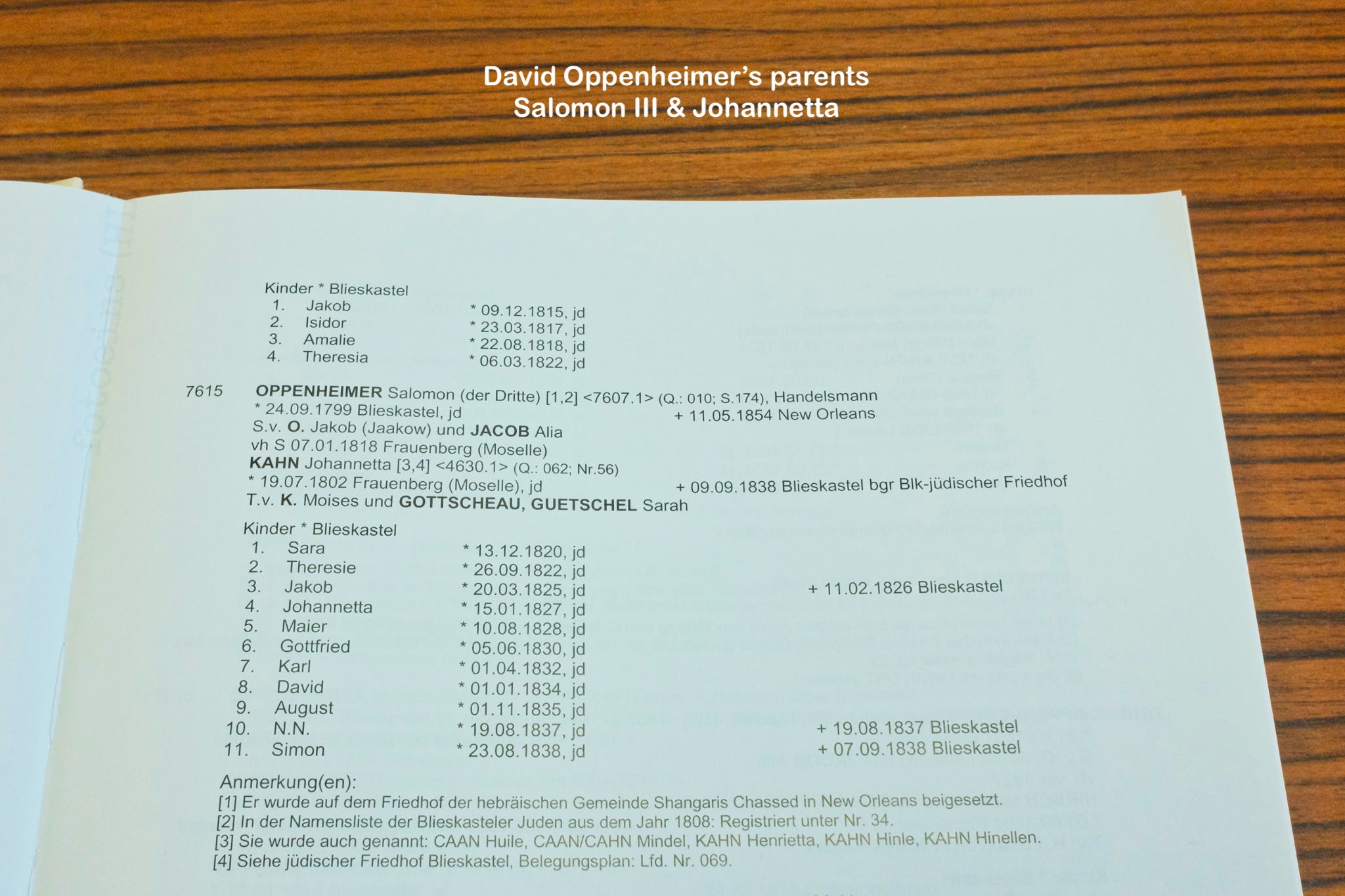 Blieskastel, Saarland, Germany, Deutschland, fotoeins.com