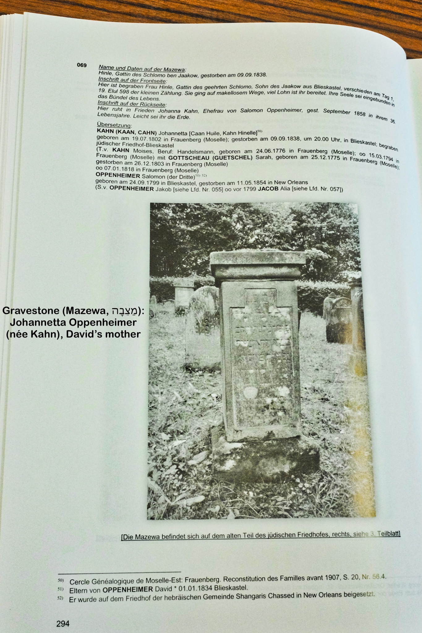 Blieskastel, Saarland, Germany, Deutschland, fotoeins.com