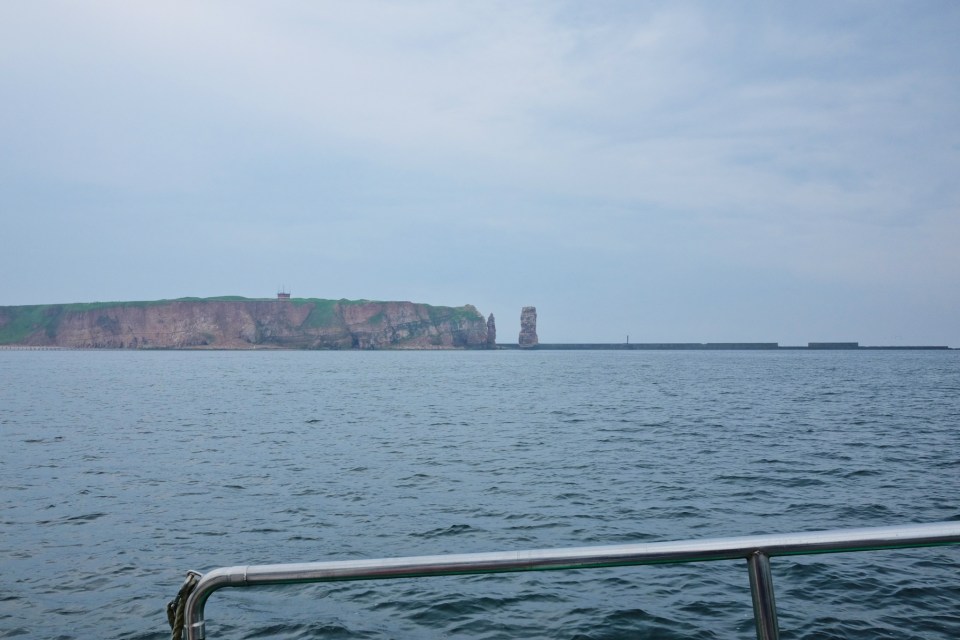 Helgoland, Heligoland, Schleswig-Holstein, Düne, Nordsee, North Sea, Germany, Deutschland, fotoeins.com