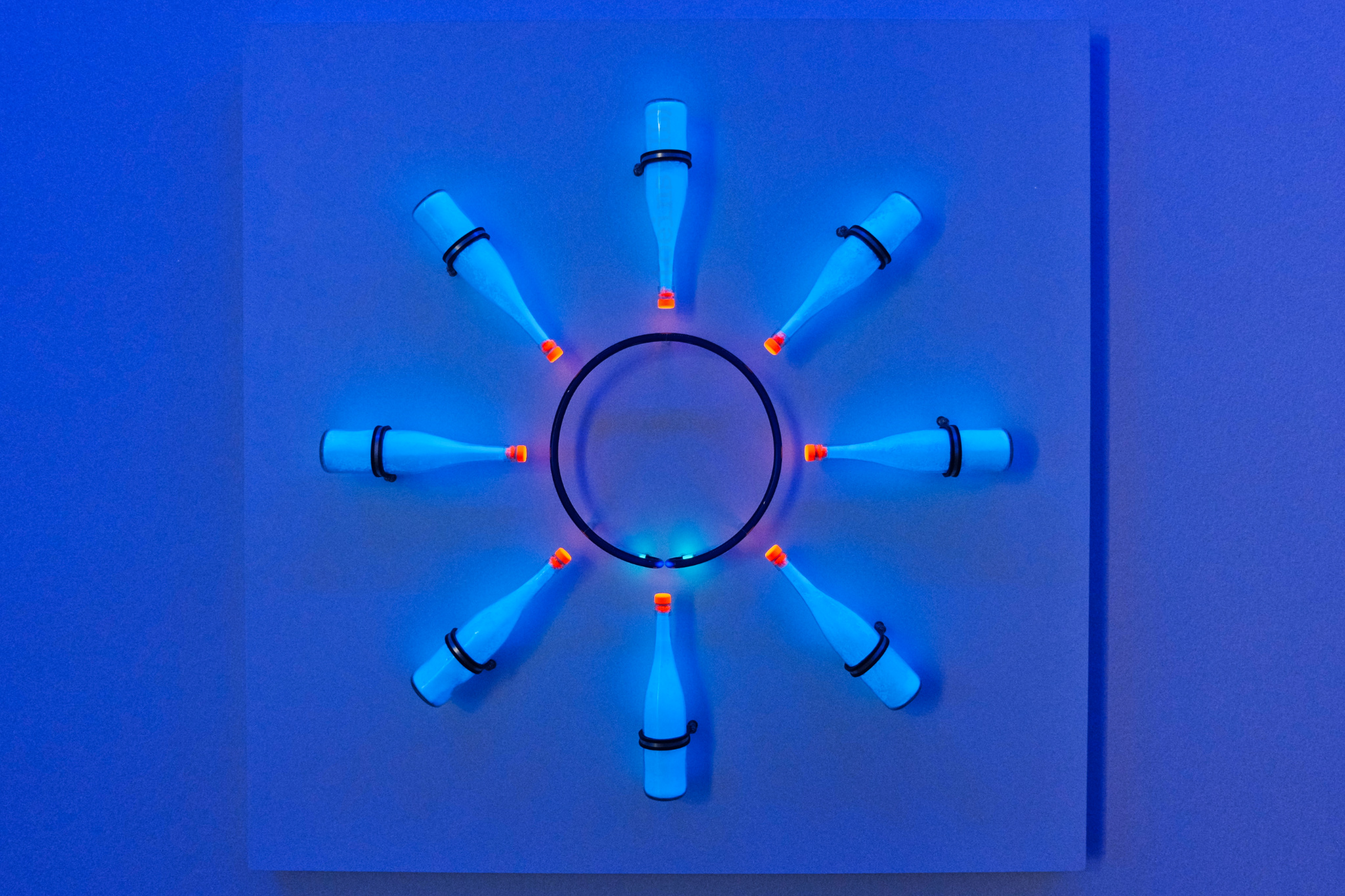 Brigitte Kowanz, Albertina, Wien, Vienna, Austria, Österreich, fotoeins.com