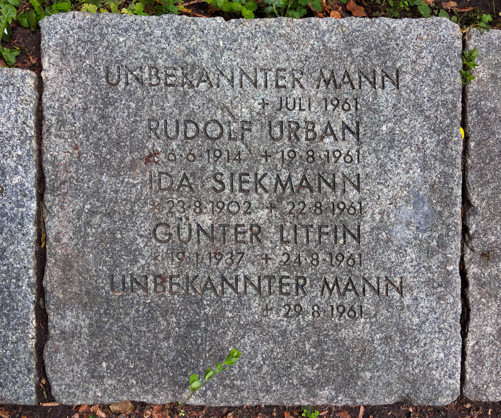 Parliament of Trees, Parlament der Bäume, Regierungsviertel, Berlin, Deutschland, Germany, fotoeins.com