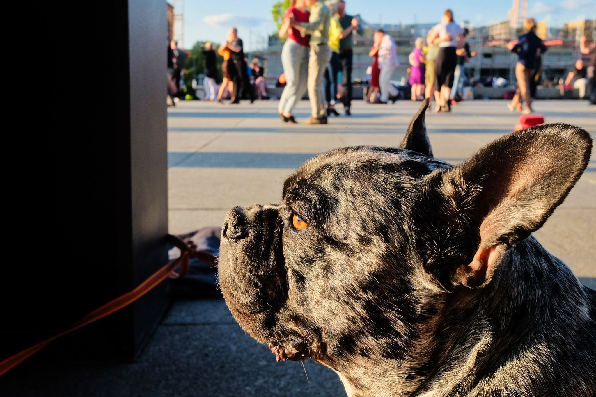 Neue Nationalgalerie, Berlin, Deutschland, Germany, fotoeins.com