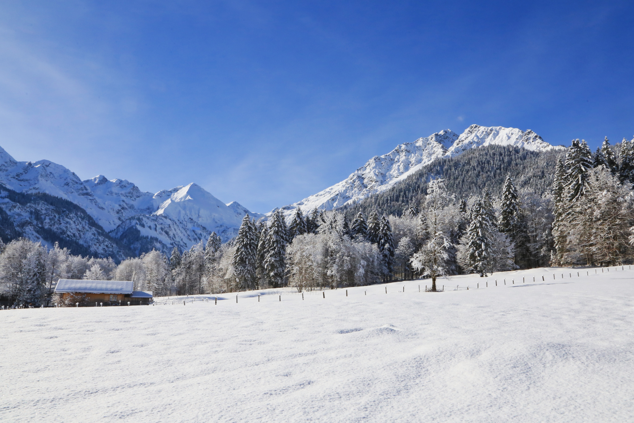 Fellhorn, Oberstdorf Kleinwalsertal Bergbahnen, Allgaeuer Alps, Allgaeu, Oberstdorf, Swabia, Bavaria, Bayern, Germany, fotoeins.com